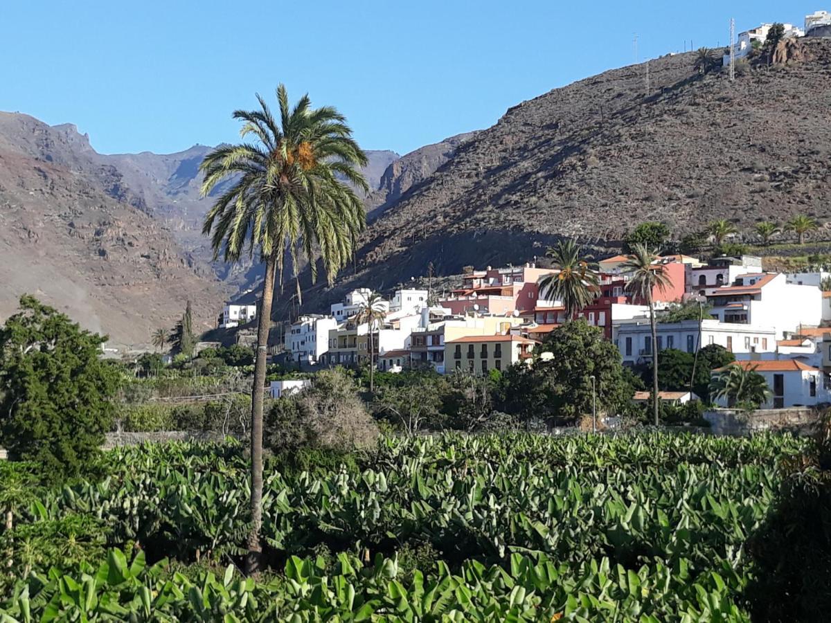 Los Olivos Playa de Santiago  Eksteriør billede